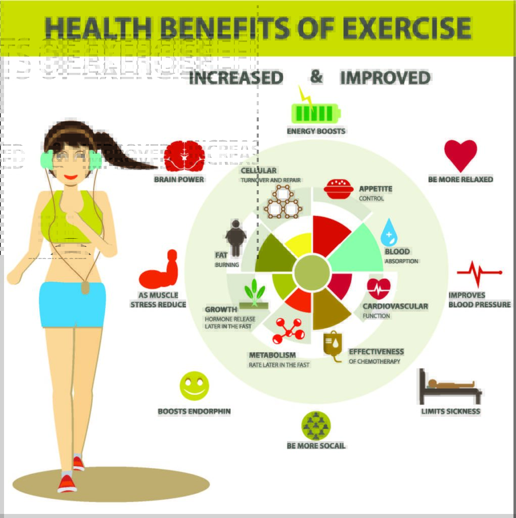 The Importance Of Physical Exercise